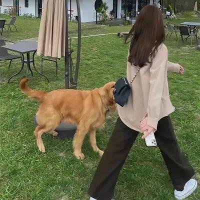 若要君不知